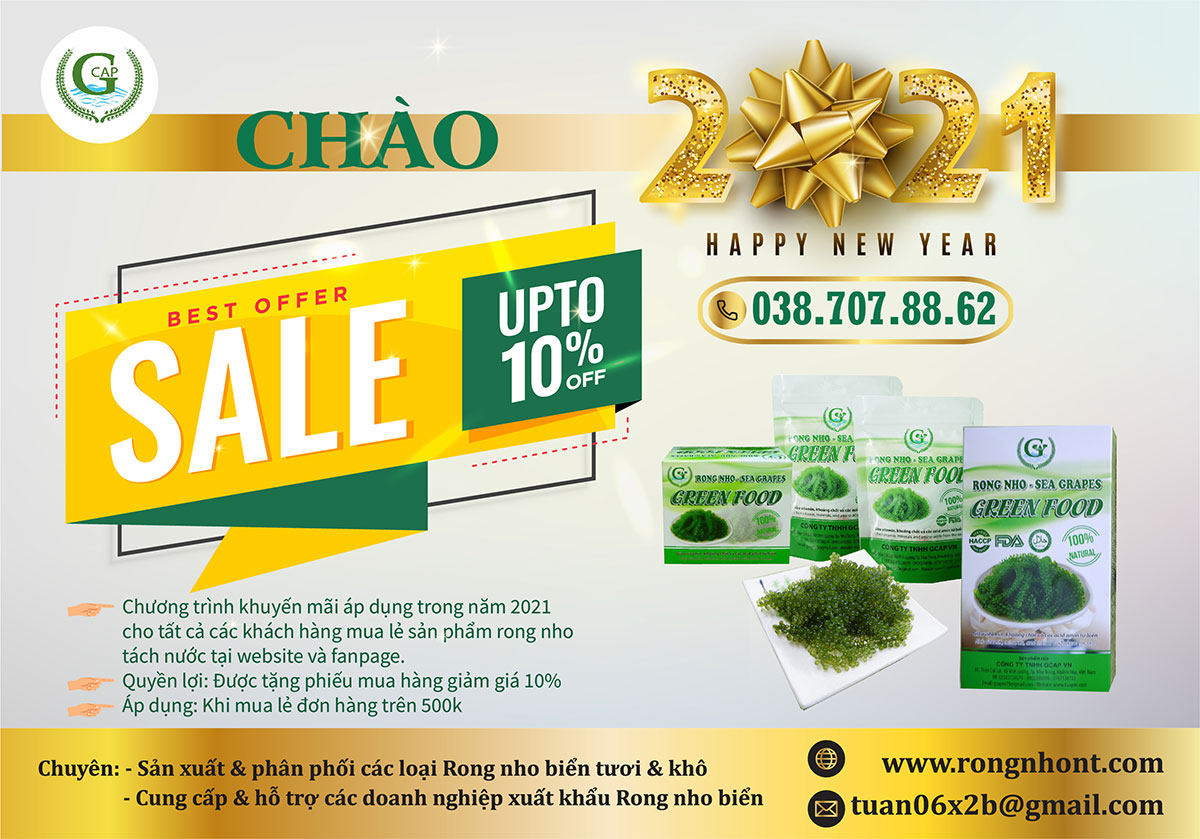Trang chủ 41 02