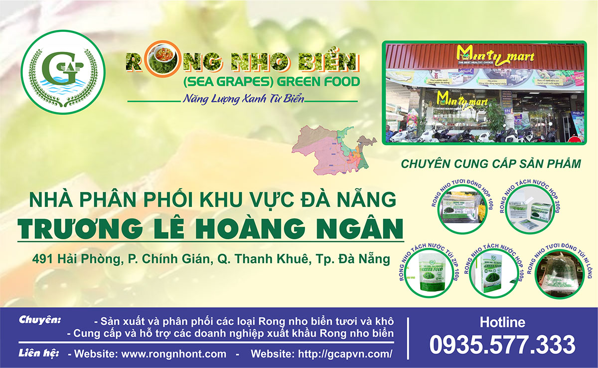 Trang chủ 37 03