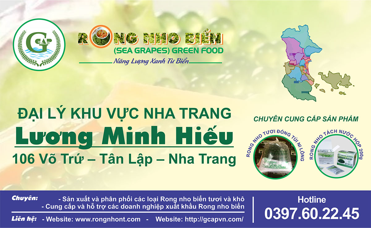 Trang chủ 38 04