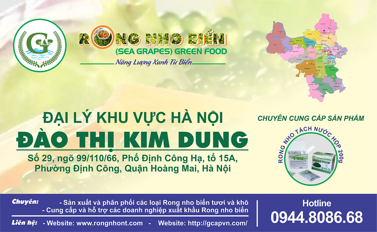 Trang chủ 44 05