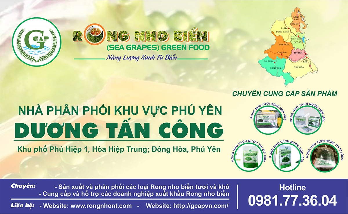 Trang chủ 46 07