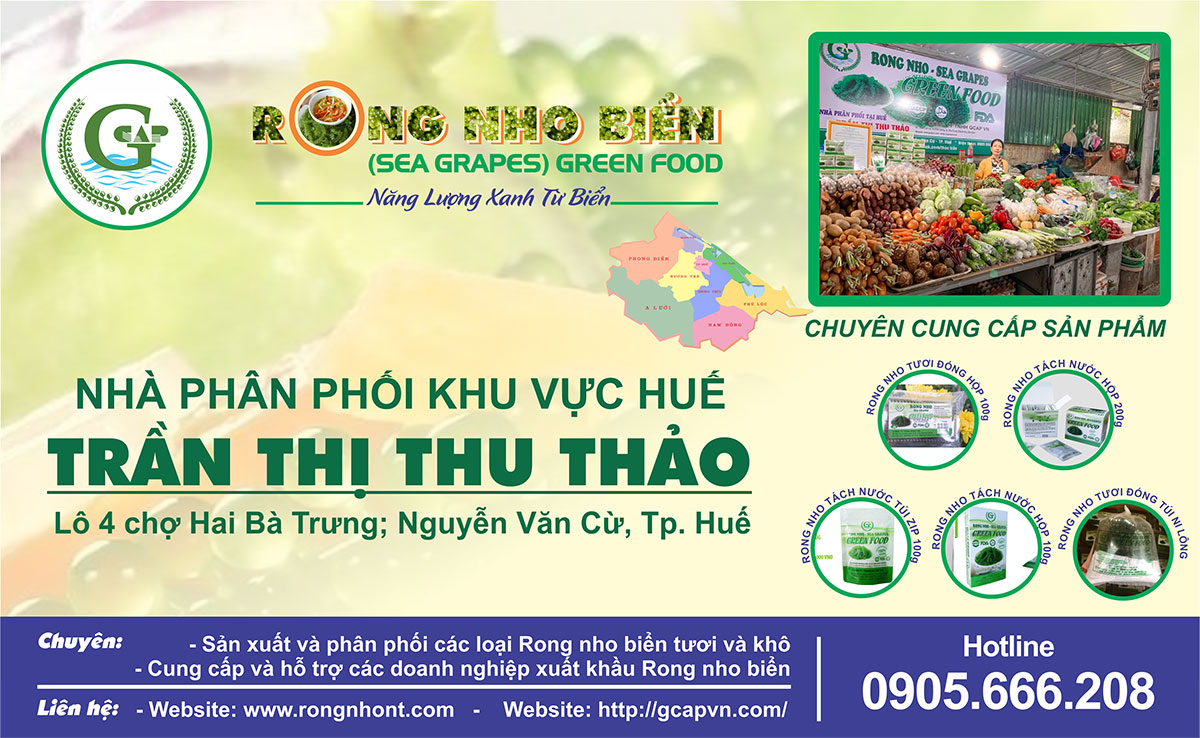 Trang chủ 42 08