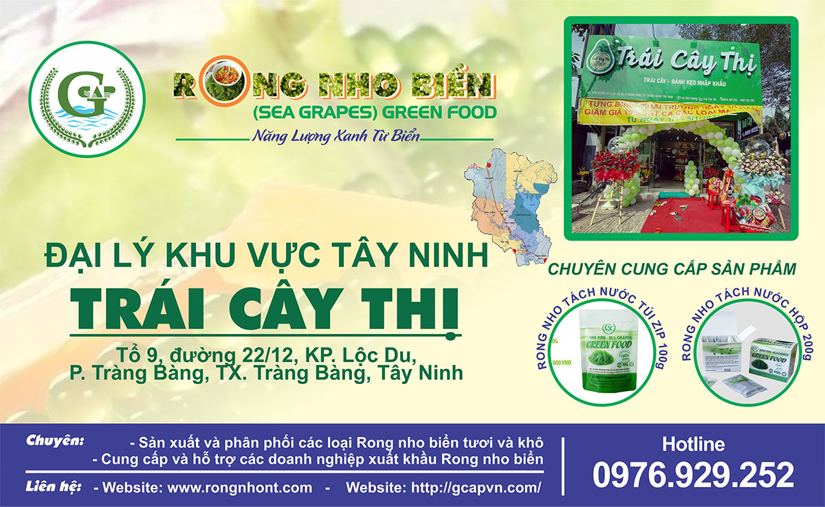 Trang chủ 43 09