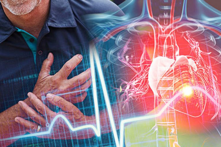 Rong nho giúp cải thiện các bệnh lý về tim mạch và huyết áp