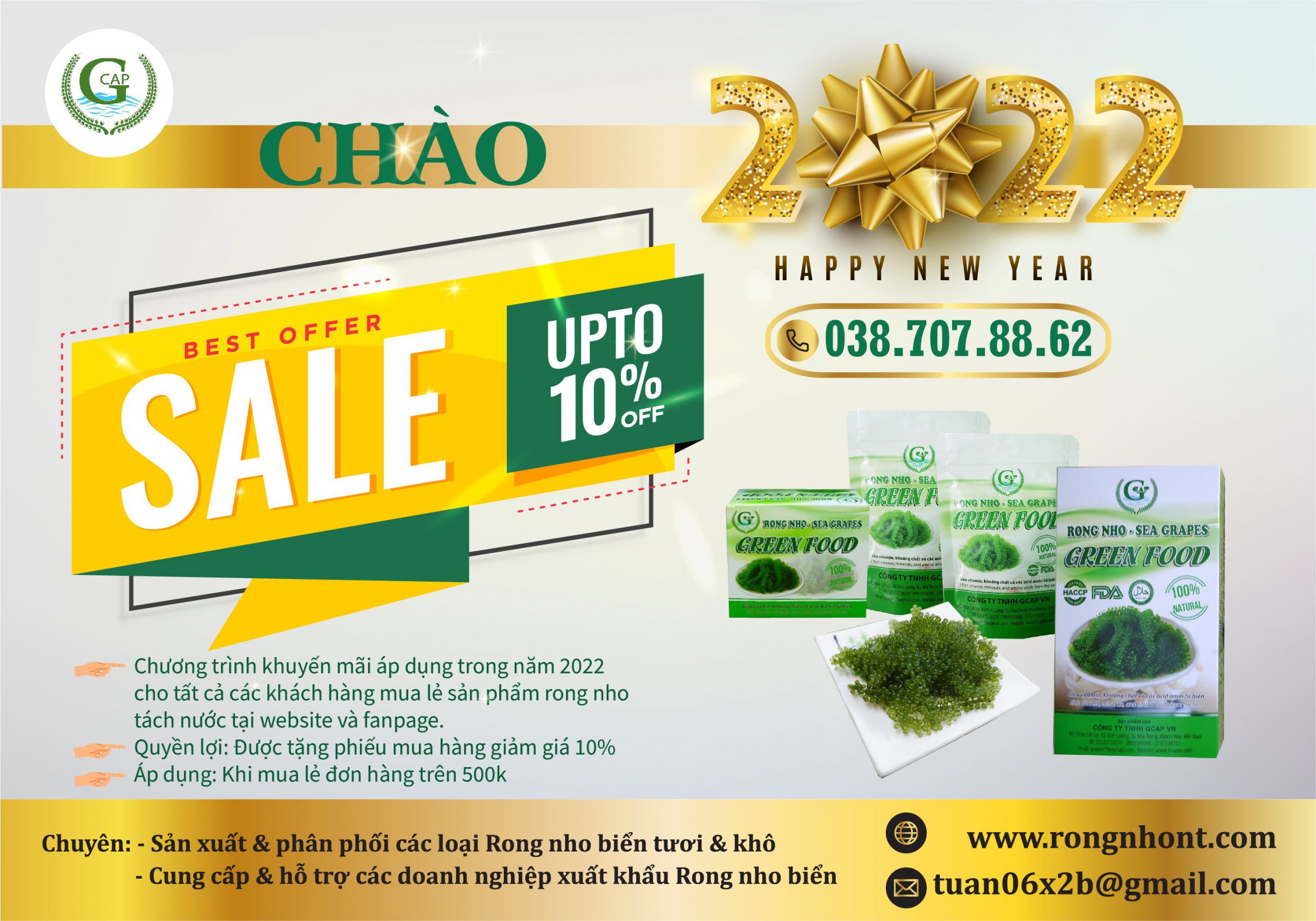 Trang chủ 36 z3057037855779 5f0b49bf533d7edb70bd13275c3bf573 scaled