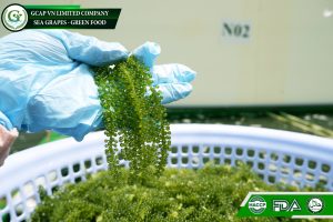 z2745326488877 e179e21864db50968a68d5aaa39a1ee1