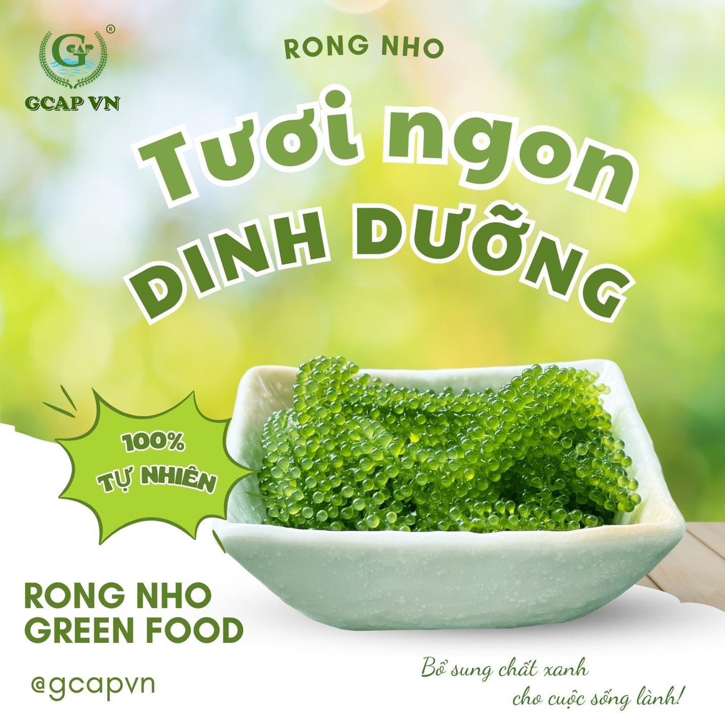 Rong nho biển Phú Yên - Đặc sản xứ Nẫu 78