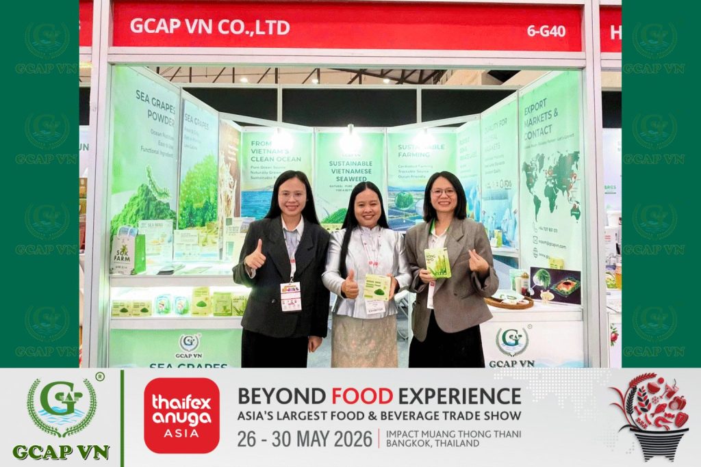 GCAP VN tại THAIFEX – Anuga Asia 2026: Đưa Rong Nho Việt Nam Đến Gần Hơn Với Thị Trường Quốc Tế 3 1