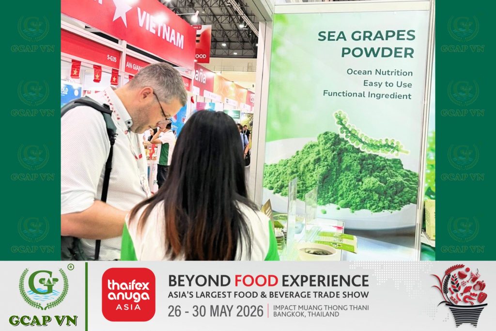 GCAP VN tại THAIFEX – Anuga Asia 2026: Đưa Rong Nho Việt Nam Đến Gần Hơn Với Thị Trường Quốc Tế 3 2 1